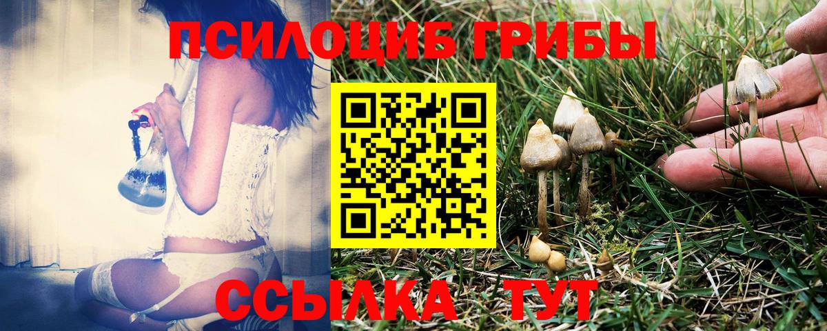 Галлюциногенные грибы GOLDEN TEACHER Красноармейск